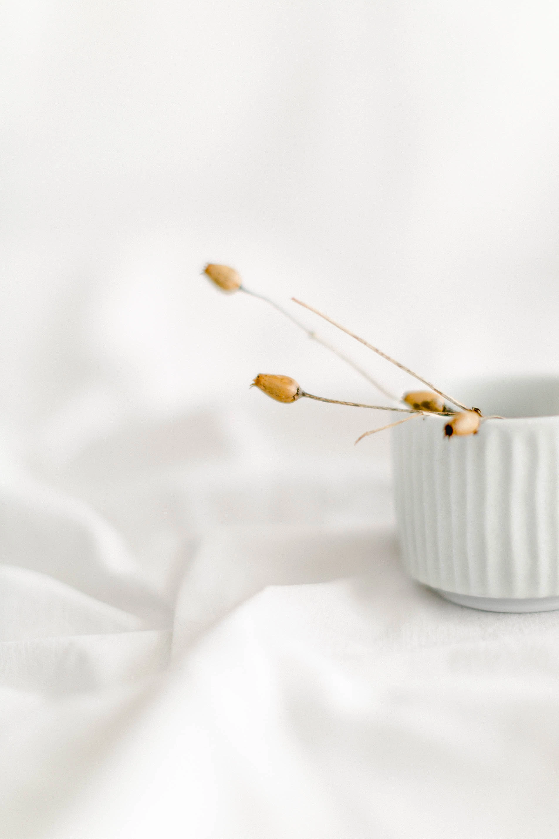 Poterie Hélène Bénéteau